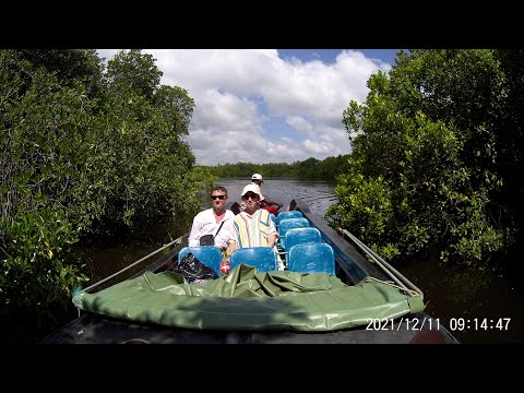 Экскурсия "Голубая лагуна". Шри-Ланка. 2022