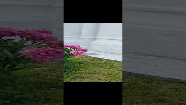 Суздаль.Свято-Васильевский мужской монастырь