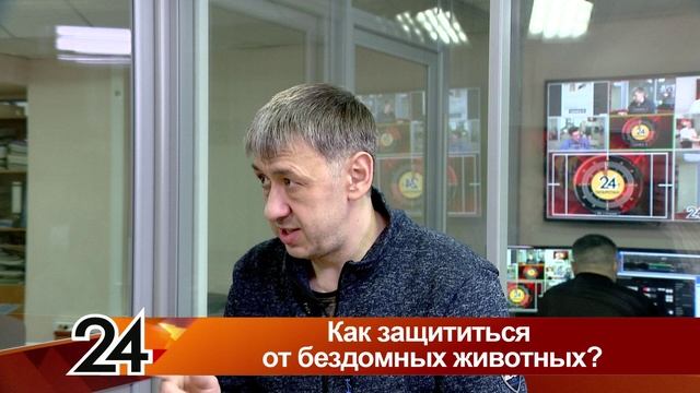 Главные новости - Как защититься от бездомных животных