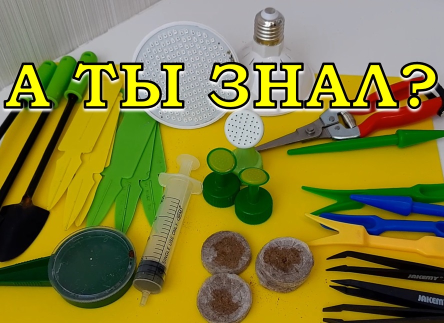 15 ВАЖНЫХ ПОКУПОК дачника к новому сезону???