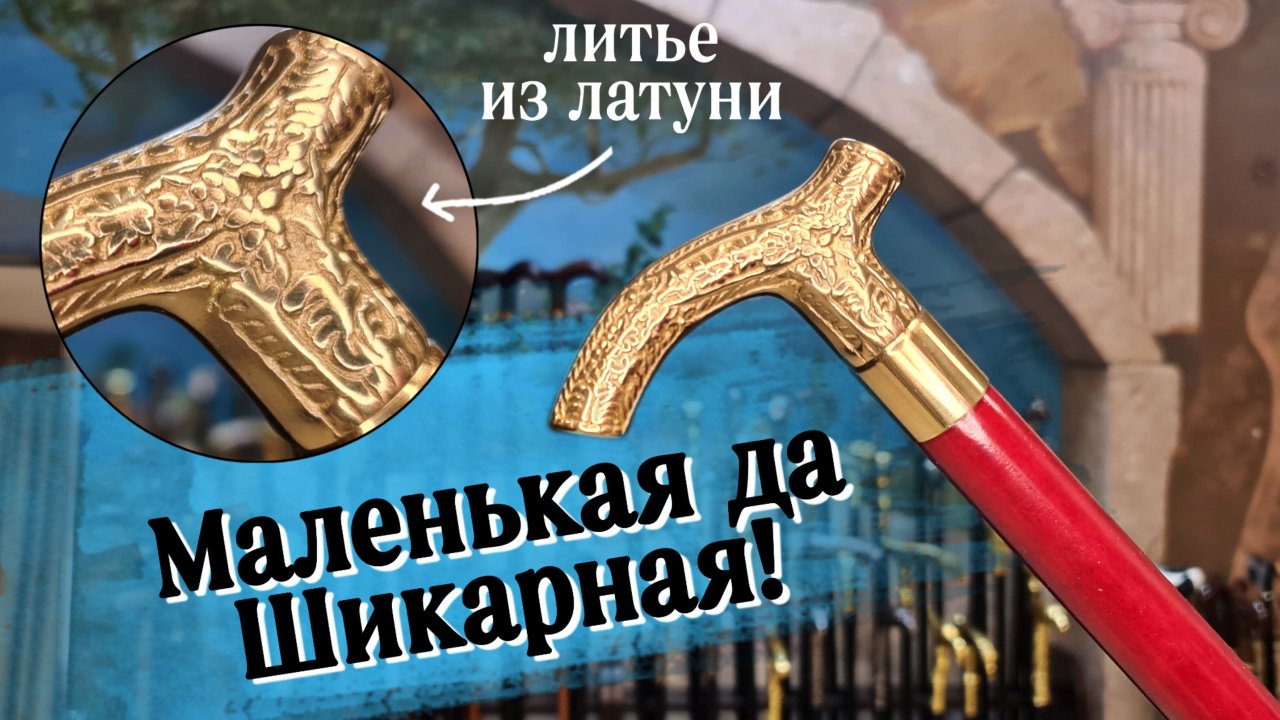 Стильная женская трость для ходьбы | Атташе Euro