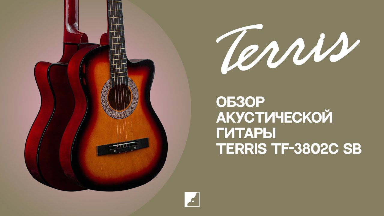 Обзор акустической гитары TERRIS TF-3802C SB