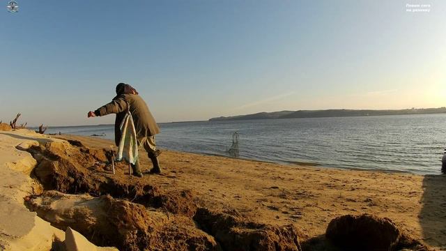 Ловим сига на резинку. 21.10.2022