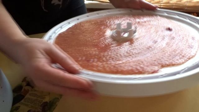 ЯБЛОЧНО-ЯГОДНАЯ ПАСТИЛА