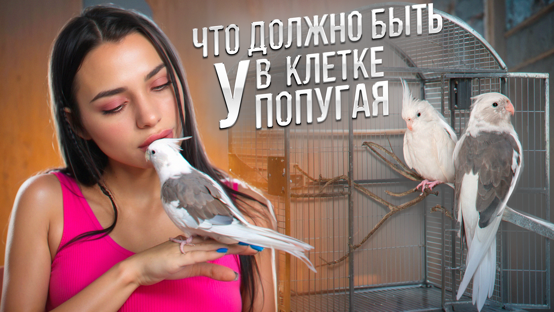 ЧТО ДОЛЖНО БЫТЬ В КЛЕТКЕ У ПОПУГАЯ