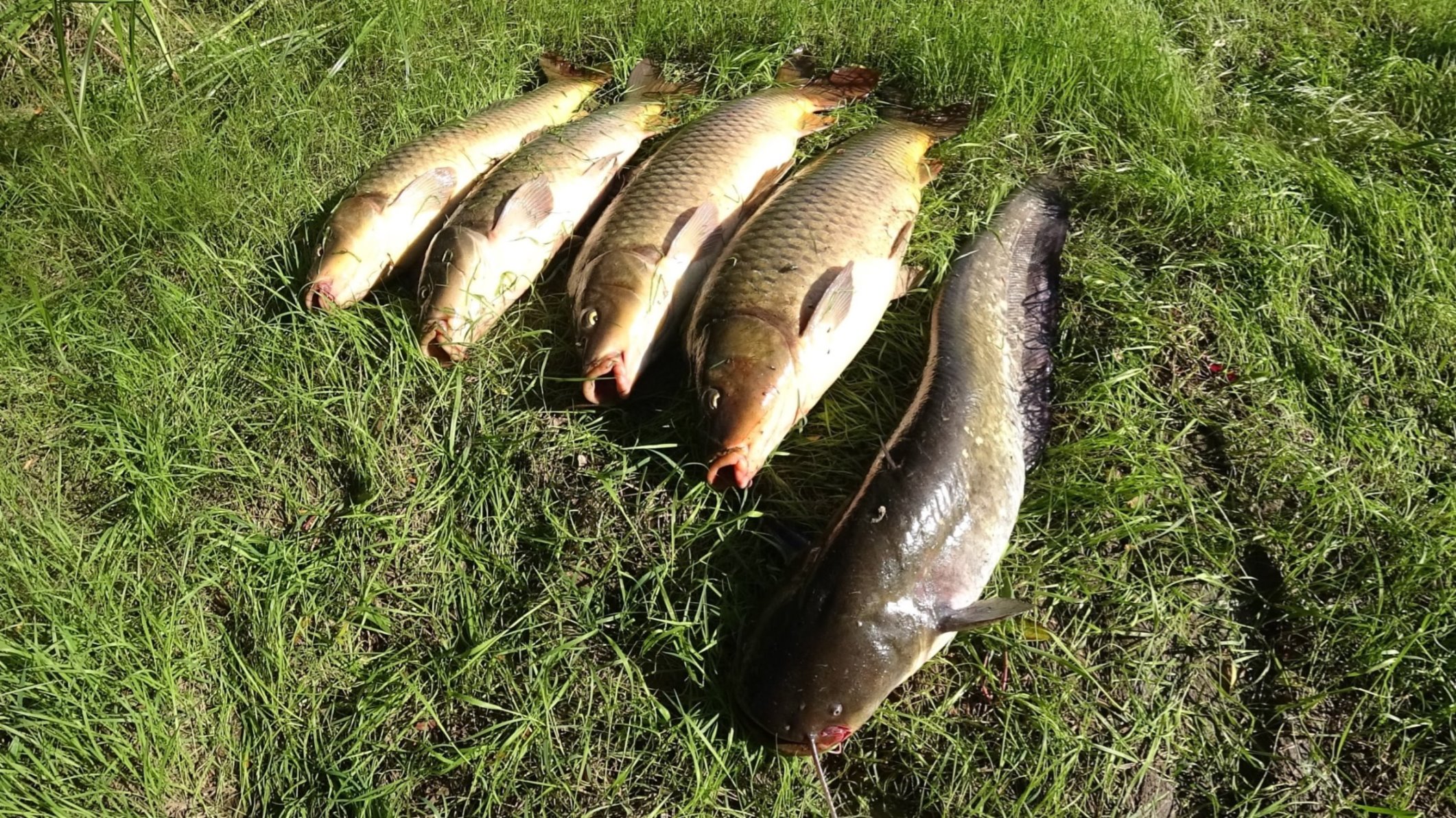 Лучшие моменты прошлого года. Рыбалка.