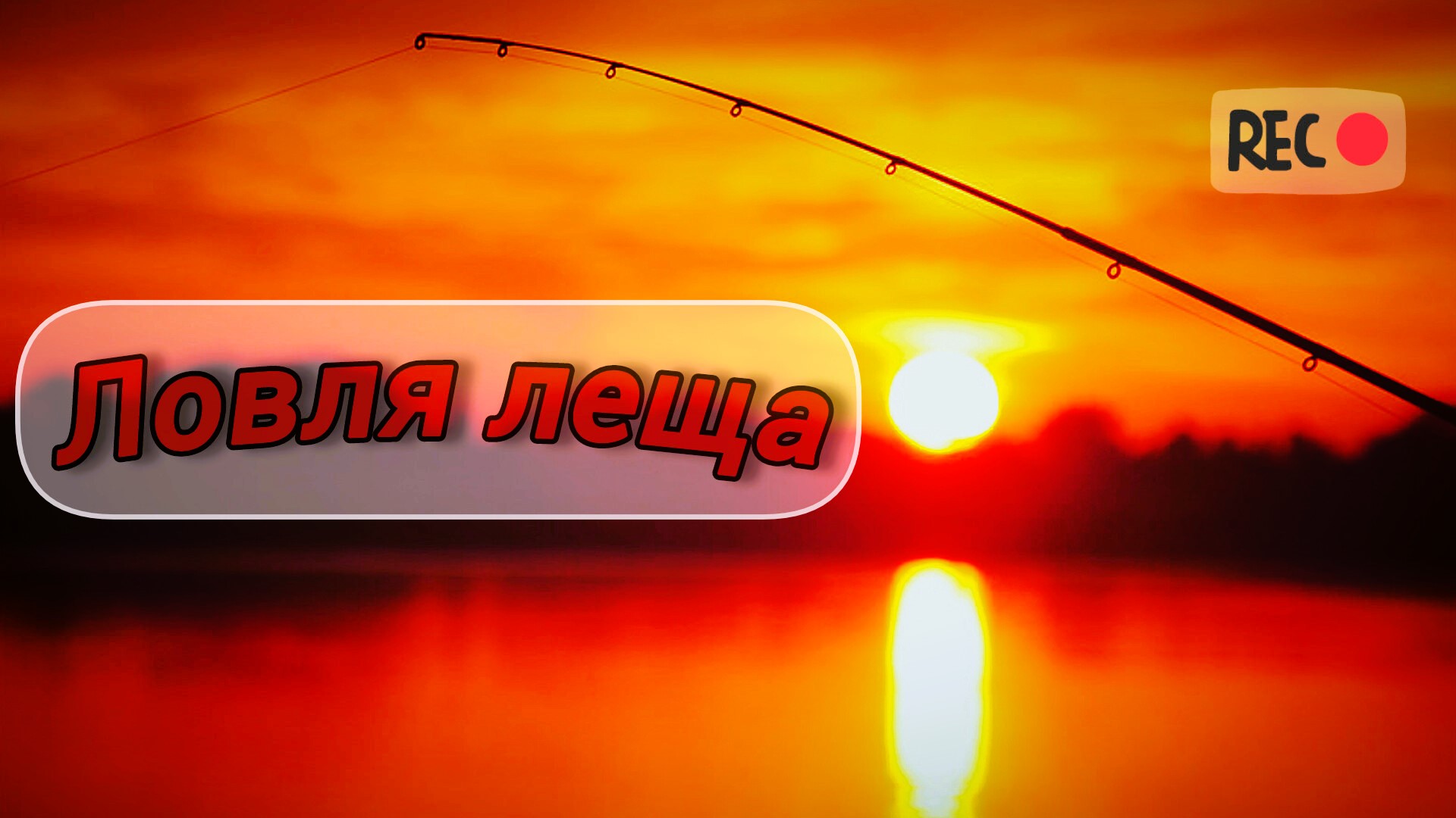 УТРЕННЯЯ РЫБАЛКА на ЛЕЩА. ЛОВЛЯ ЛЕЩА на ФИДЕР. ПОЙМАЛ ЛЕЩА на речке. РЫБАЛКА утром на РЕЧКЕ