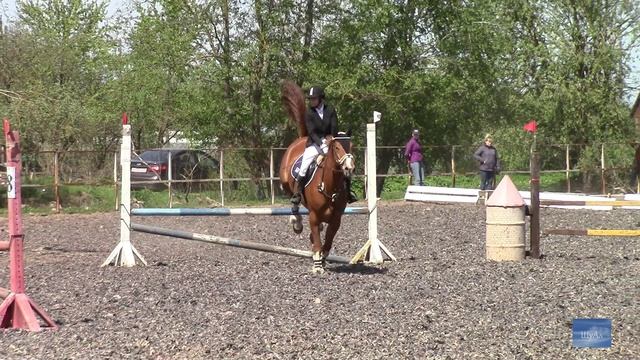 Первенство города Пскова по конному спорту (конкур).