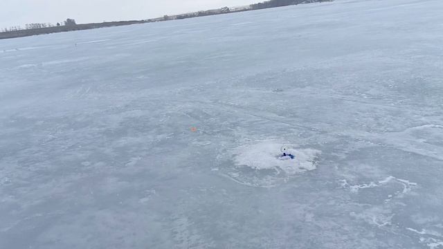 Жерлицы на пруду в Алтайском крае.