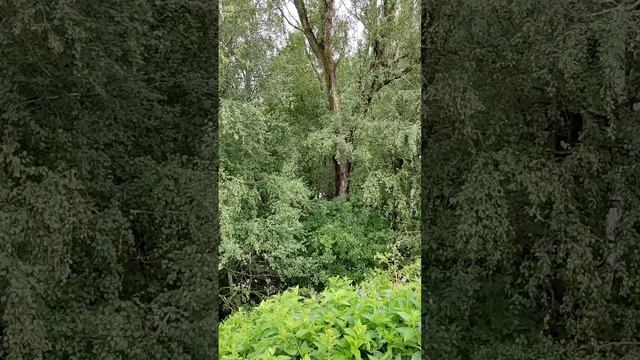 Храмовый ансамбль Красной площади, Переславль Залесский