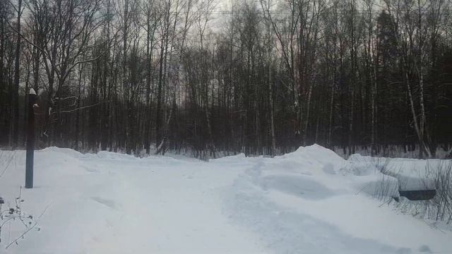 Наконец то в Москве снег! Зима вернулась! Аномальные осадки! Завалило по крышу!.mp4