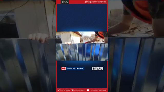 Югорские добровольцы поделились кадрами спасения собаки в Курганской области