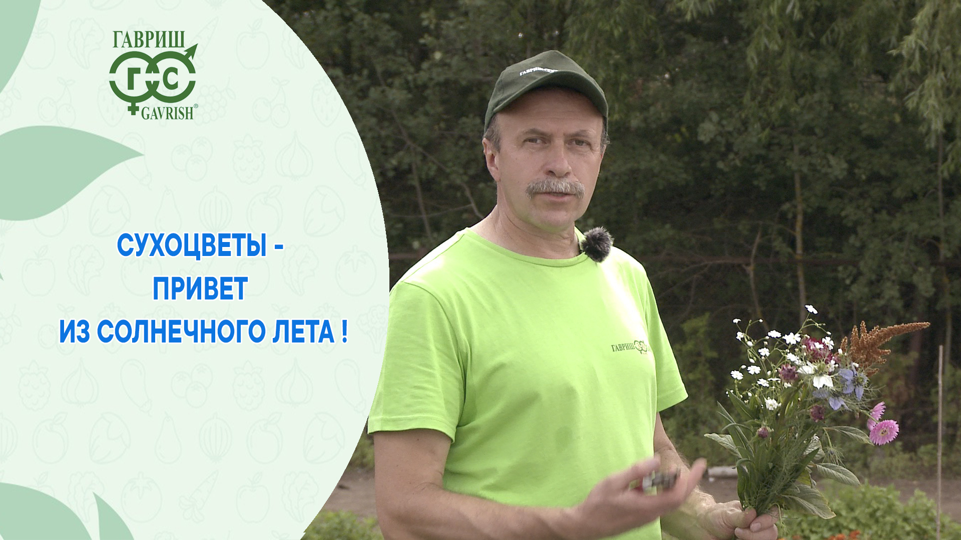 Сухоцветы - привет из солнечного лета!