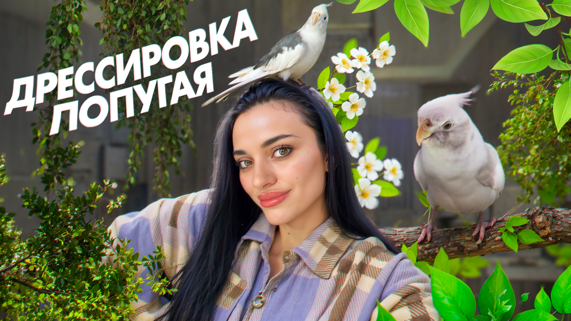 ДРЕССИРОВКА ПОПУГАЯ