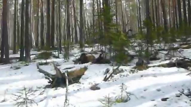 Ориентирование в кризисной ситуации. По ветровалу