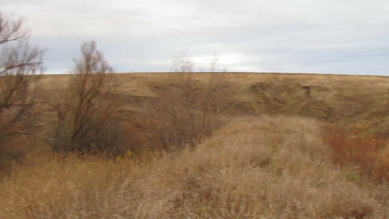 Исчезнувшая деревня Чуевка, Татищевский район.