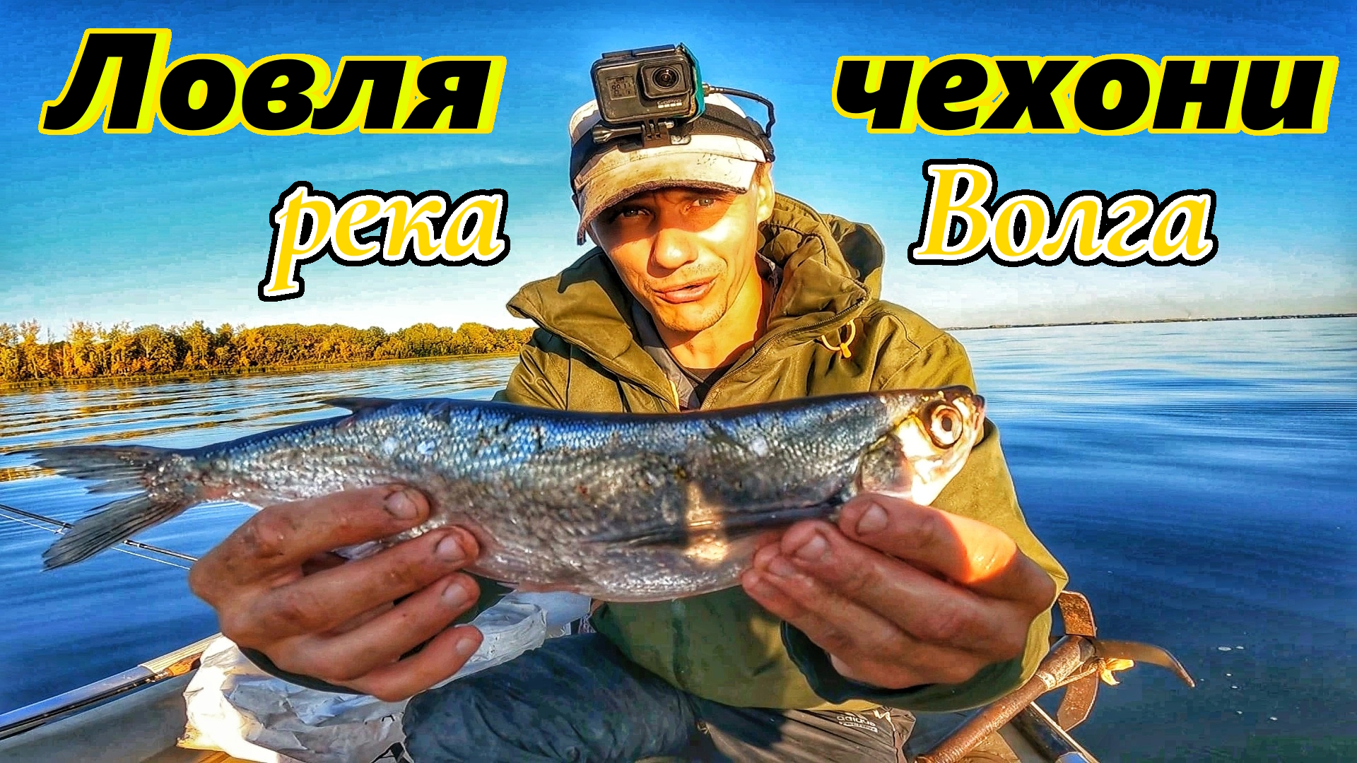 ЧЕХОНЬ/ЛОВЛЯ ЧЕХОНИ/РЫБАЛКА НА ВОЛГЕ/ГДЕ ИСКАТЬ И ЛОВИТЬ ЧЕХОНЬ НА ВОЛГЕ У Г. САМАРЫ/ОСЕННЯЯ РЫБАЛКА