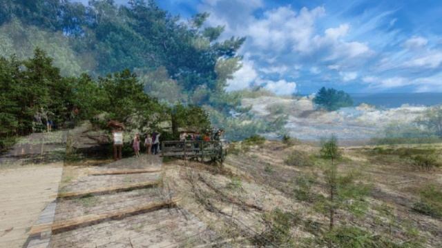 Стародеревенская дюна Куршской Косы июль 2022