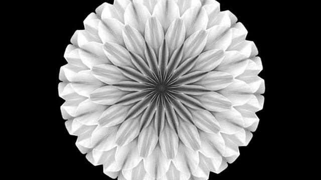 Выход из иллюзий дело добровольное