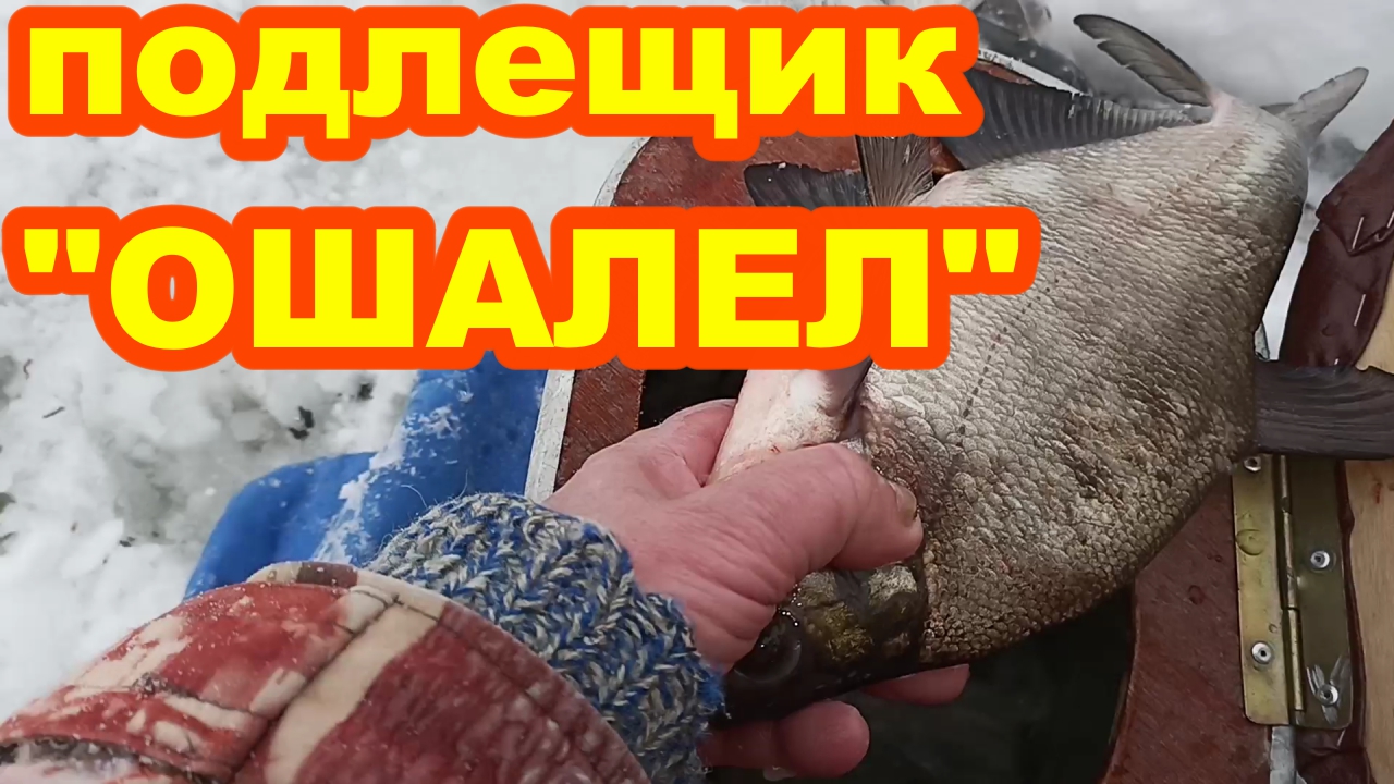 Подлещик "ОШАЛЕЛ" клюёт не переставая ! Рыбалка на Селигере !