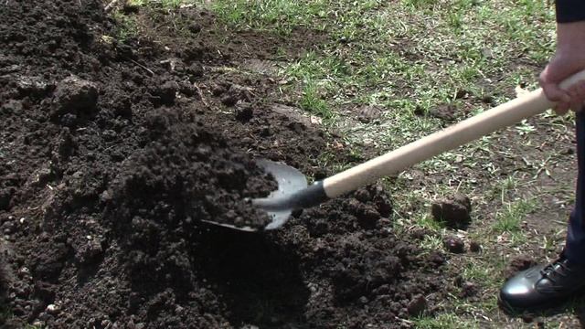 В стране продолжается акция “Сад Памяти”