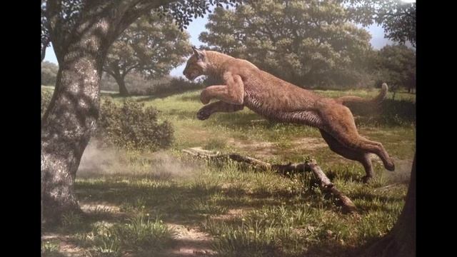 11.МОЁ ПУТЕШЕСТВИЕ В АГХАРТУ (Глава 2) КАК ЭТО БЫЛО.КОШКИ и ИХ ДРЕВНИЕ ПРЕДКИ. ПЕРЕВОП-Лобсанг Рампа