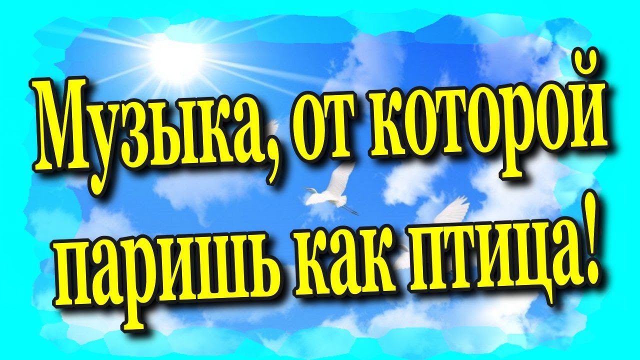 Музыка от которой паришь как птица♻️ [Olga Pak]