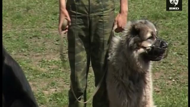 Служу Отчизне 13.06.2011