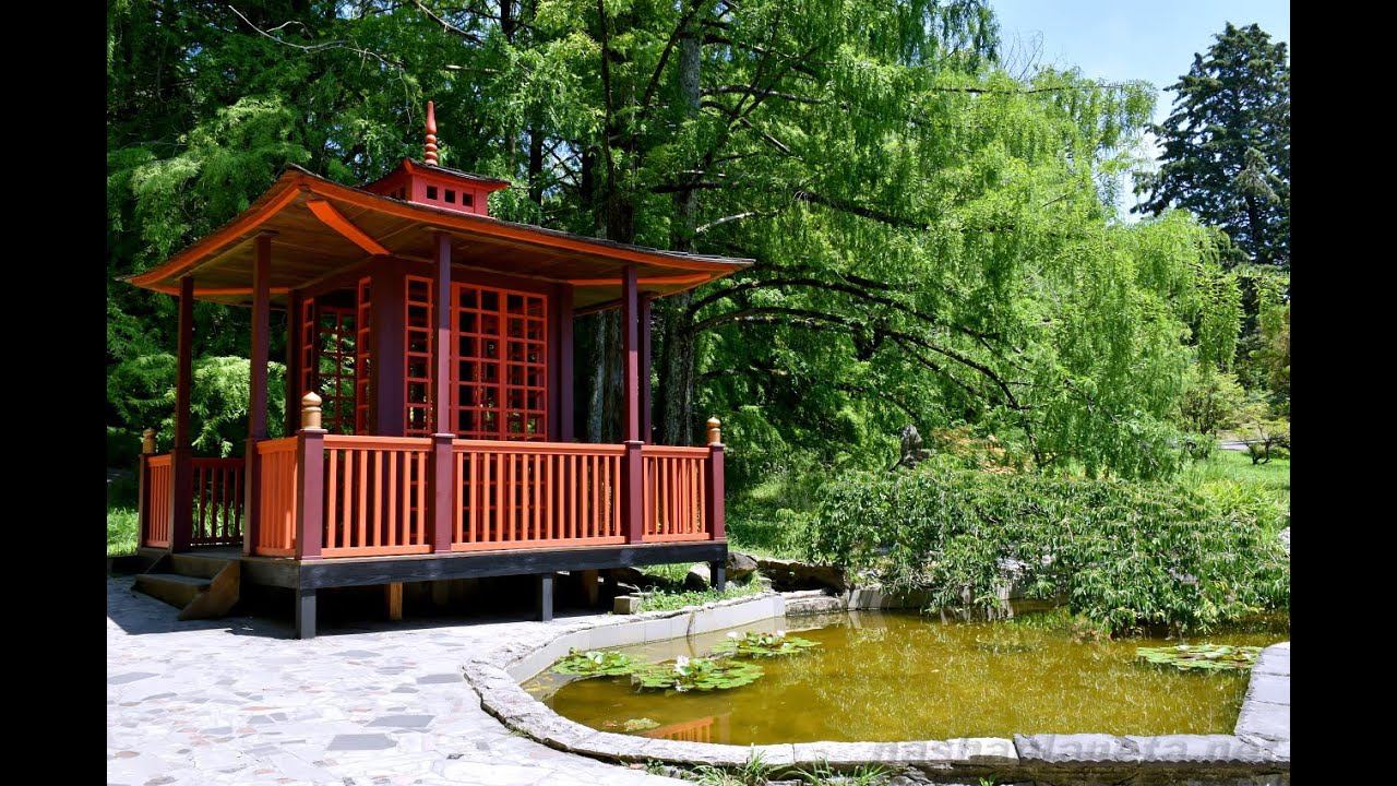 Гуляем по сочинскому дендрарию – самое красивое место в Сочи