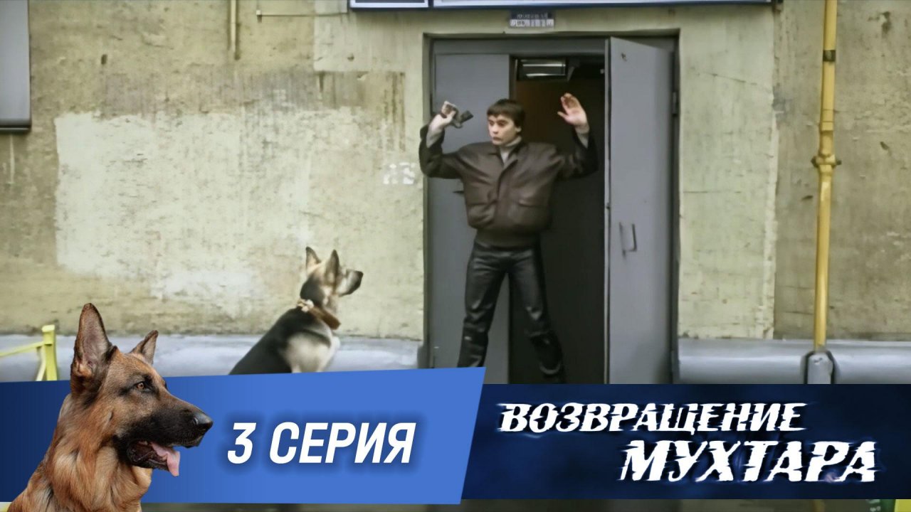«Возвращение Мухтара»: «Ограбление по…» (1 сезон. 3 серия)
