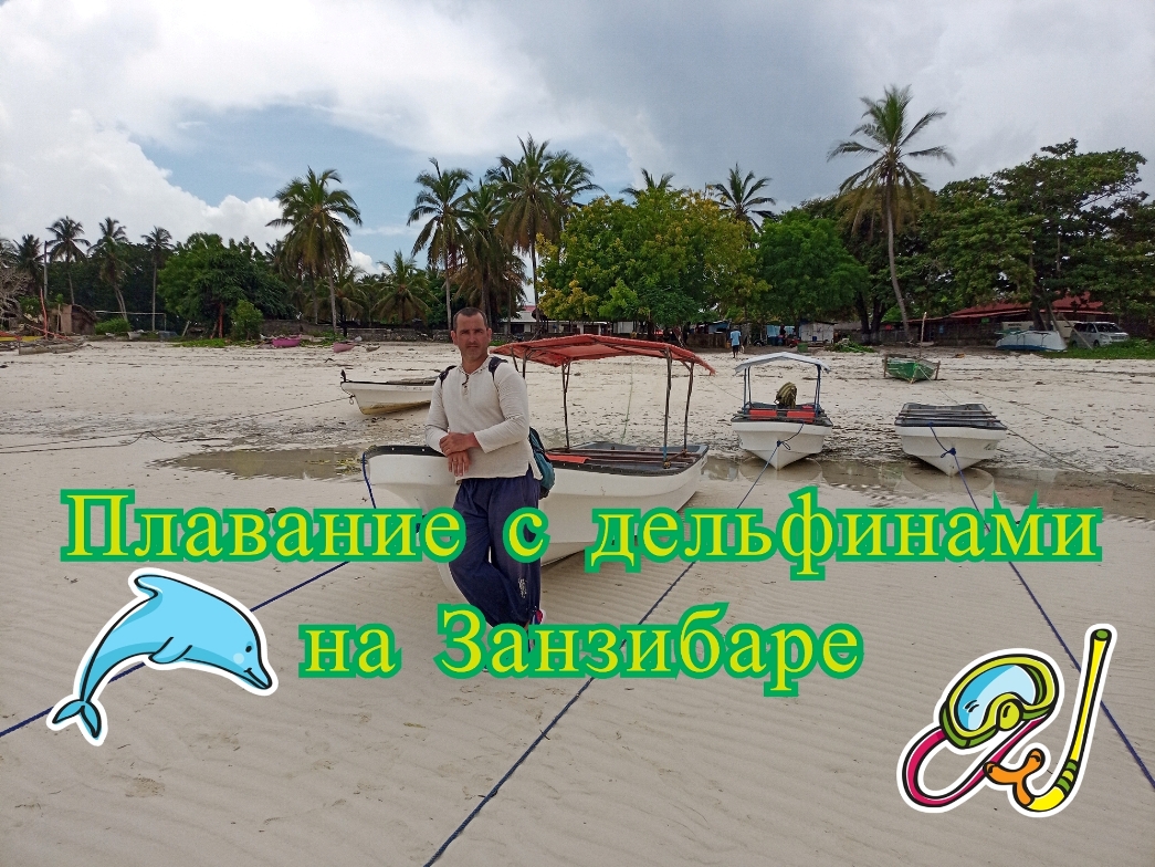 Экскурсия плавание с дельфинами на Занзибаре,  деревня Кизимкази Kizimkazi