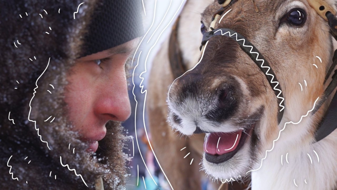 Соревнования оленеводов в Ханты-Мансийске