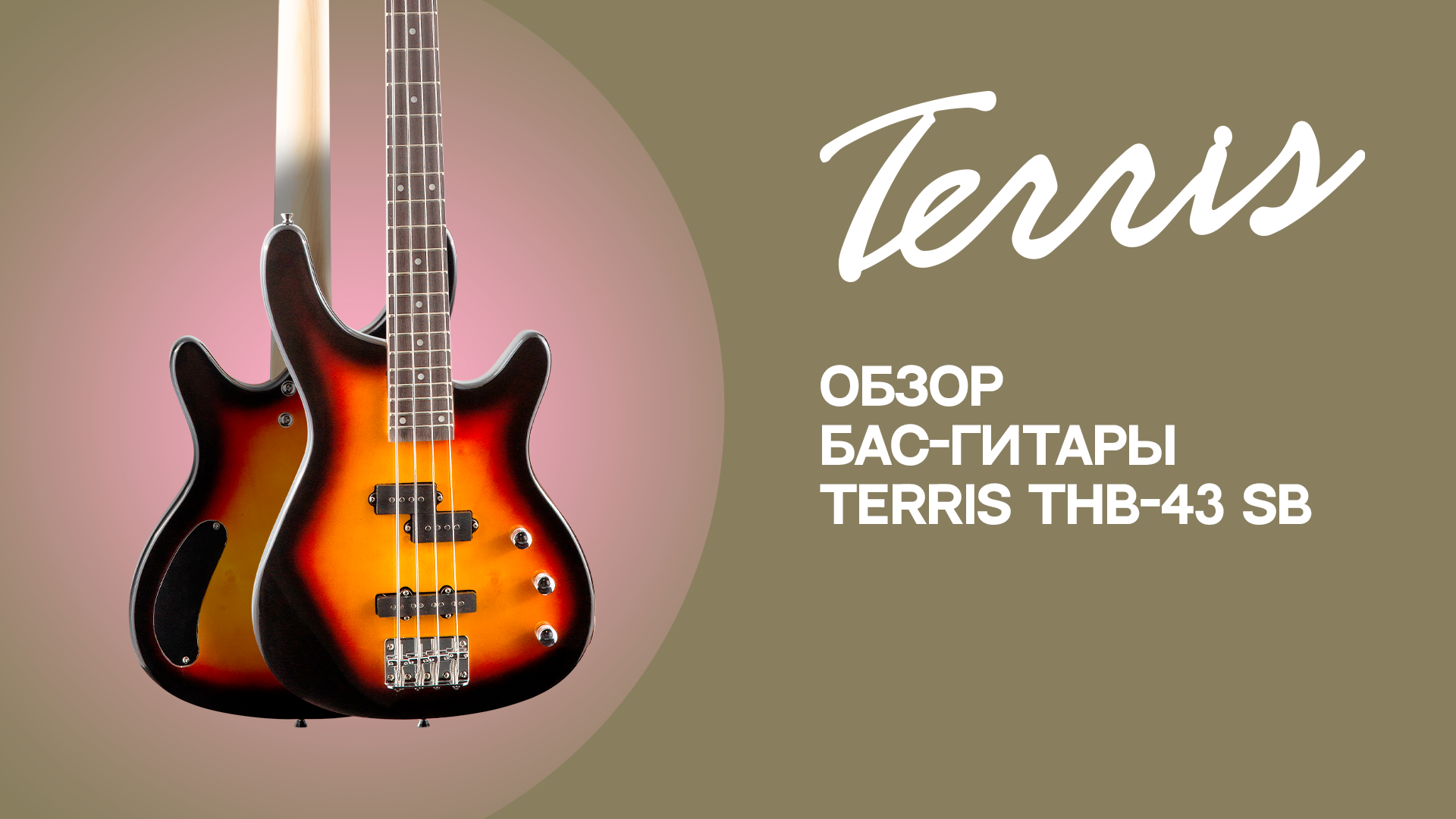Обзор бас-гитары TERRIS THB-43 SB