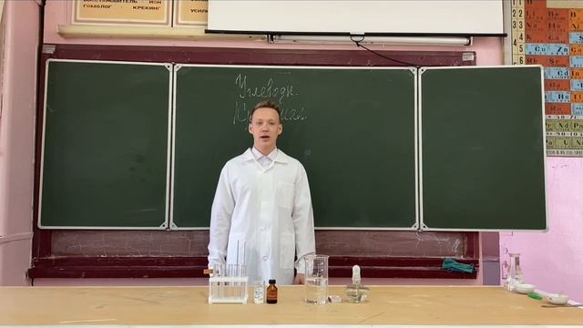 Паршинцев Семён_10_Богородск.mp4