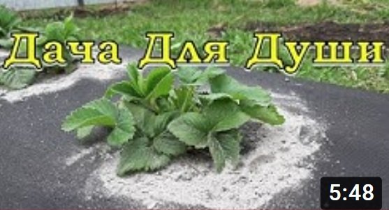 Почти все, что нужно знать ПРО ЗОЛУ☝☝☝