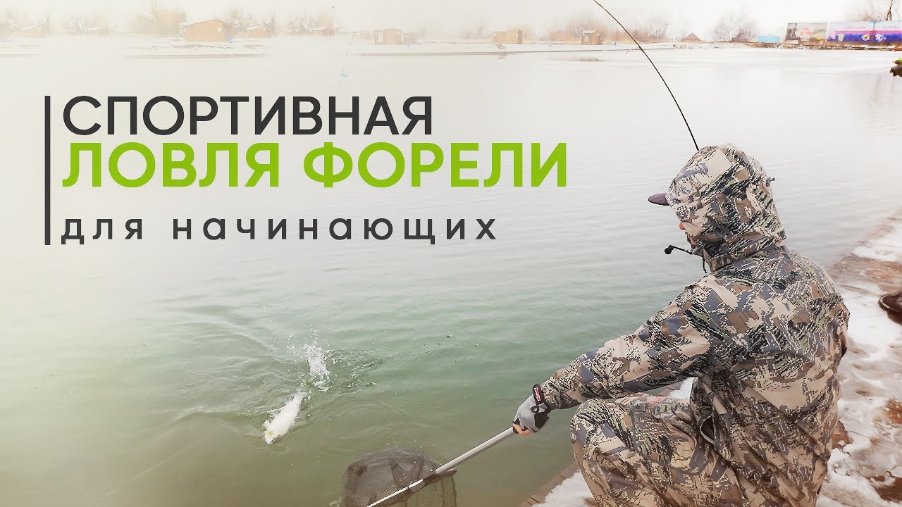 Спортивная ловля форели для начинающих. Ловля форели спиннингом на платнике