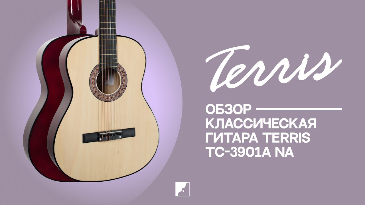 Обзор классической гитары TERRIS TC-3901A NA