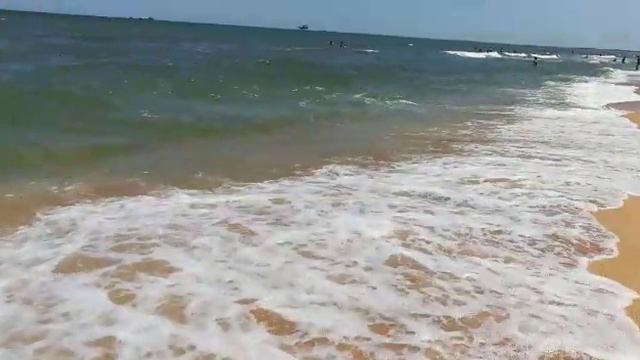 Станица Голубицкая. Азовское море ?