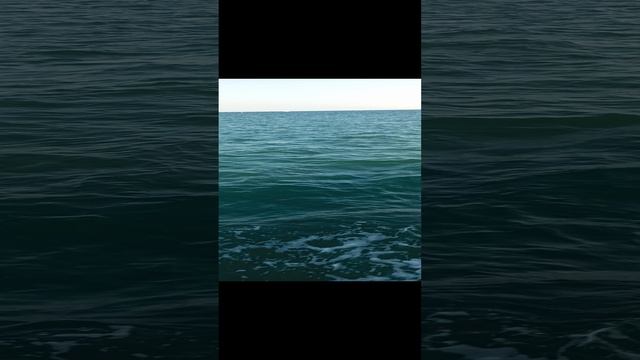 Сочи. Сентябрь 2023