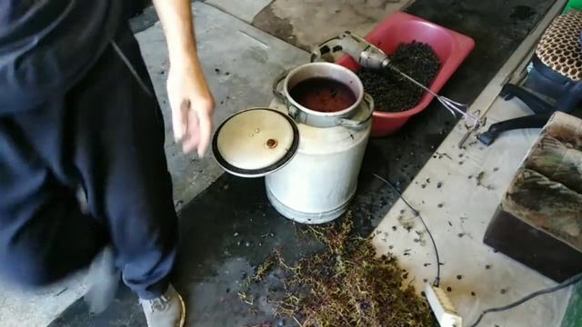 Делаем виноградный сок.mp4