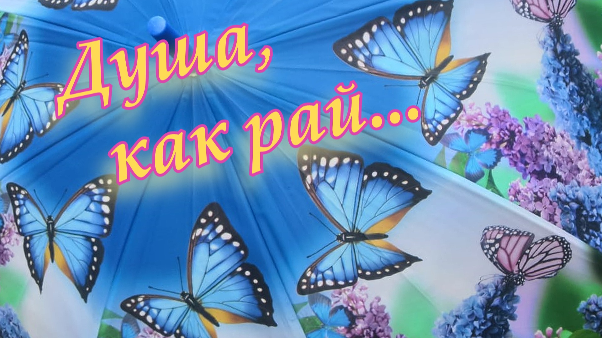 Самой замечательной женщине в мире! #shortsvideo #shortvideo #cтих #открытка #пожелания #стихи