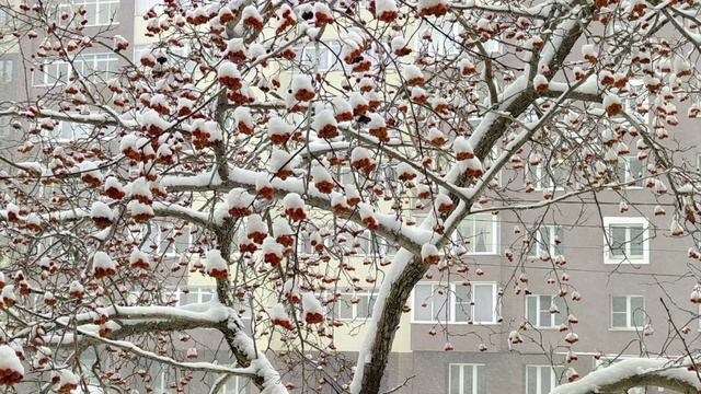 Челябинск снегопад в начале ноября.  04.11.2022г
