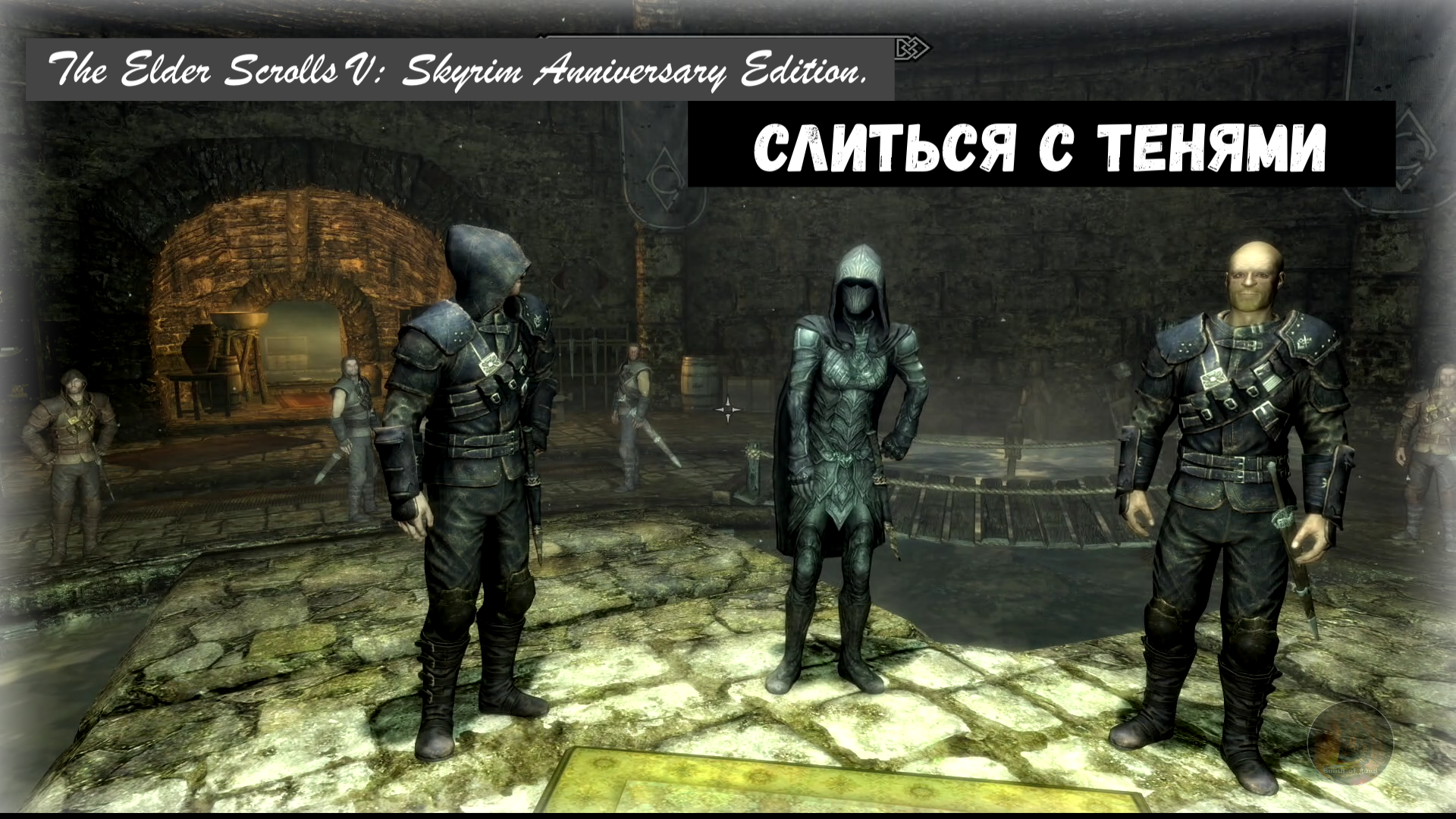 Слиться с тенями... The Elder Scrolls V: Skyrim Anniversary Edition.