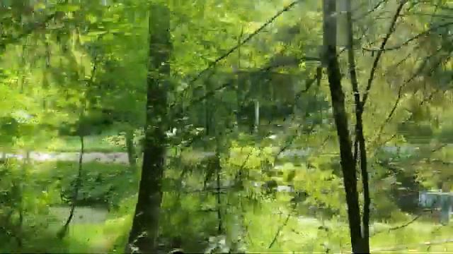 ЭКСКУРСИЯ ПО ПАВЛОВСКУ НА ЭЛЕКТРОМОБИЛЕ .