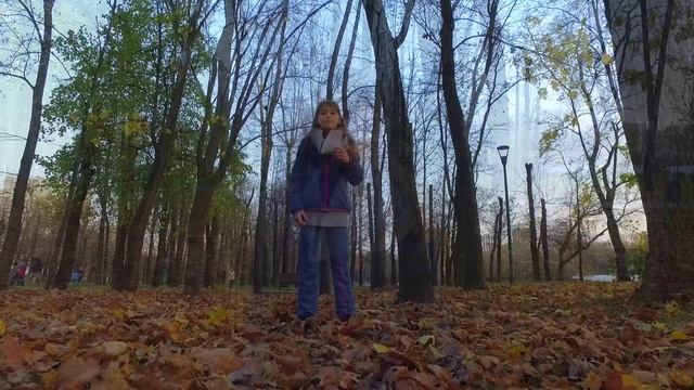 ОСЕННЯЯ ПОЭЗИЯ. Анжелик@ Путешественница