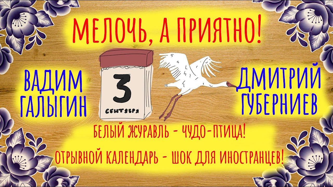 Белый журавль - чудо птица! Отрывной календарь - шок для иностранцев  | Мелочь, а приятно | Серия 12