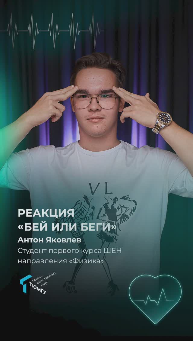 Реакция «Бей или беги»
