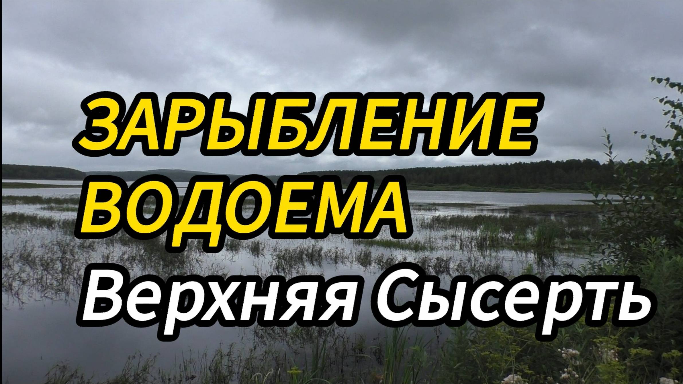 Зарыбление Верх Сысертского пруда.