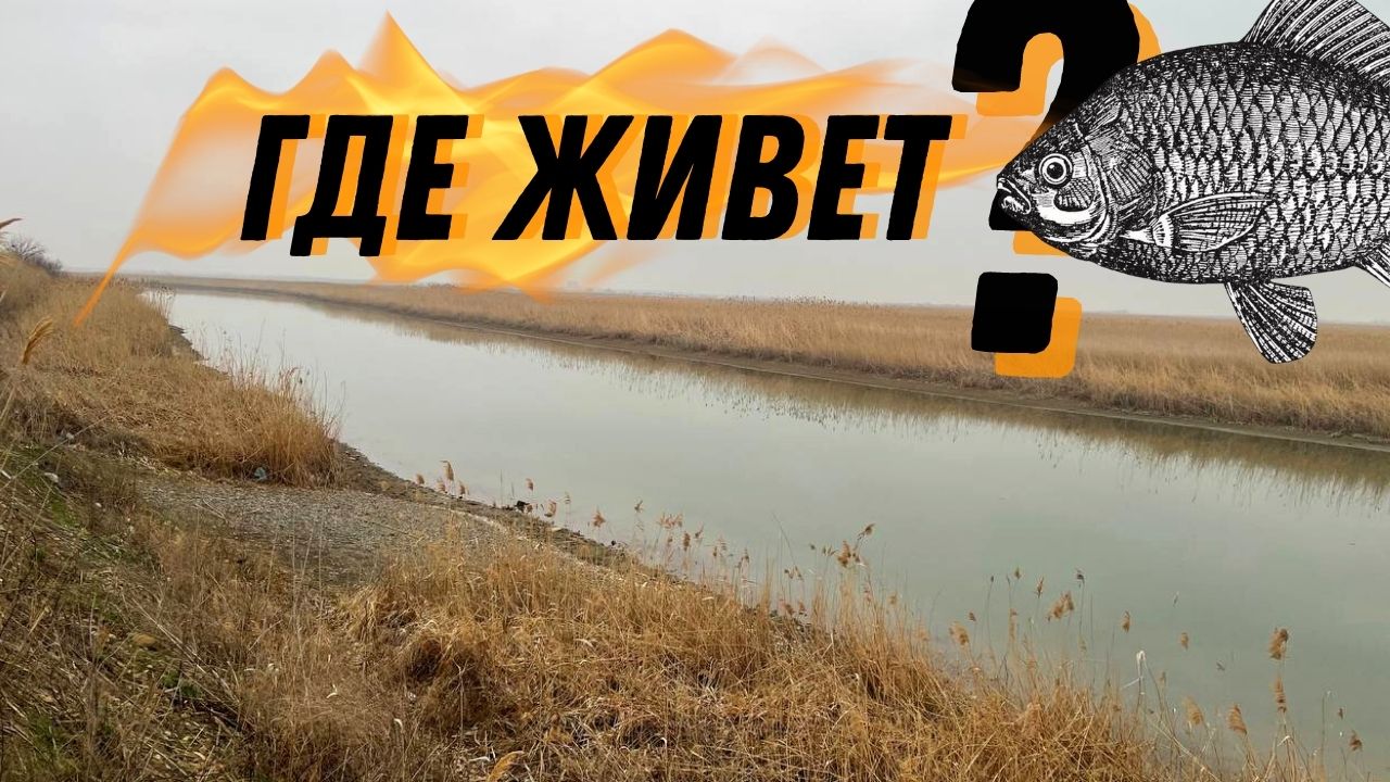 РЫБАЛКА НА ФИДЕР РАННЕЙ ВЕСНОЙ. БЕШЕННЫЙ КЛЕВ. У РЫБЫ БЕЗУМНЫЙ АППЕТИТ. РЫБАЛКА 2023. МАНЫЧ.