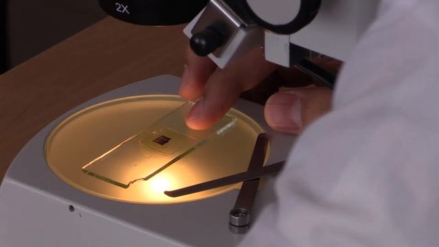 Faculty of Mathematics and Science Education